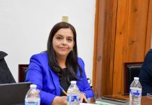 Llaman diputados del PAN a no detener trabajos legislativos por el Plan Michoacán